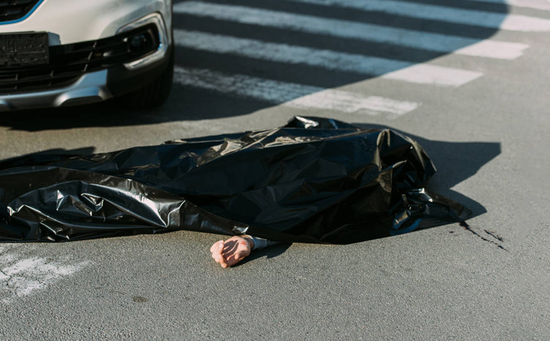 在道路交通事故致人死亡的案件中